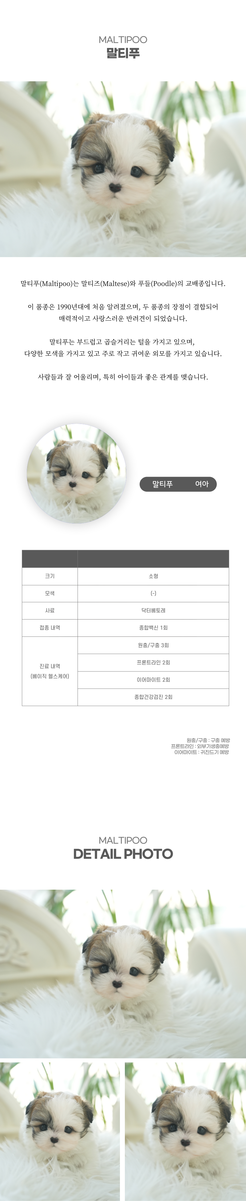 말티푸_상세이미지_2